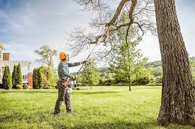 Best Tree Mulching  in Mford, IL