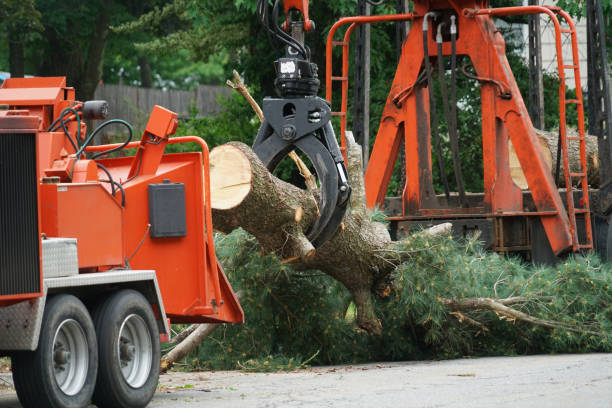  Mford, IL Tree Services Pros